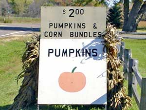 Ian's Pumpkins