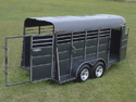 Stock & Horse Combo